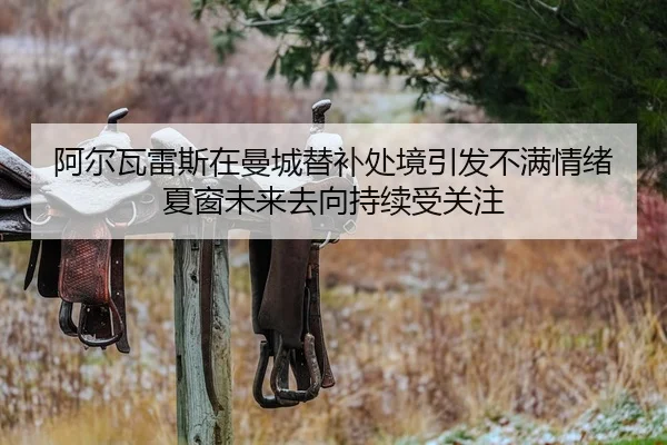 阿尔瓦雷斯在曼城替补处境引发不满情绪夏窗未来去向持续受关注